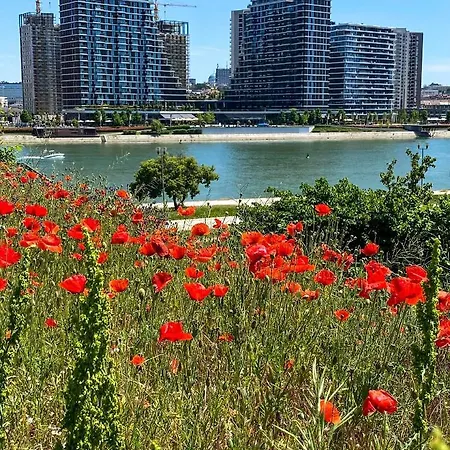 Dom Boutique Aurora شقة *