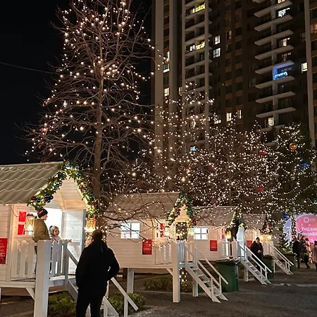 Dom Boutique Aurora شقة بلغراد